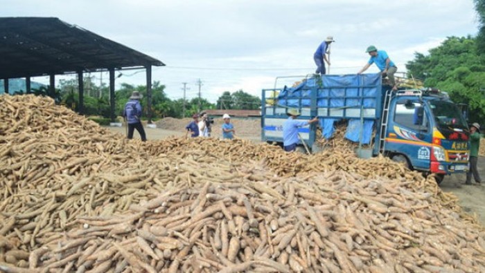 Một mặt hàng nông sản hiếm hoi tăng trưởng xuất khẩu giữa đại dịch bùng phát, cung không đủ cầu