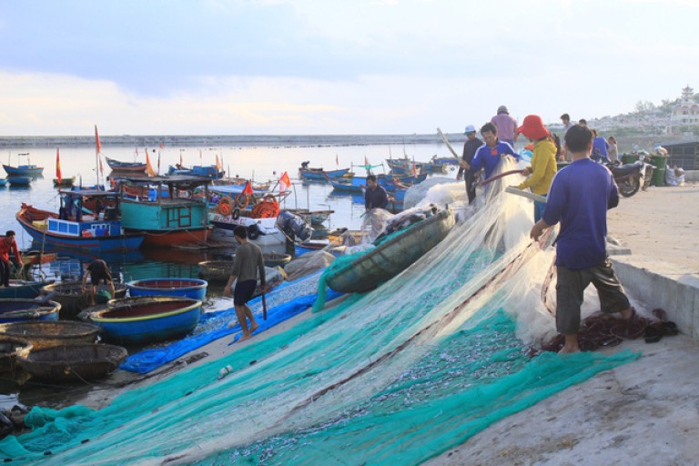 Tiêu chuẩn xuất khẩu thủy hải sản sang Nhật Bản